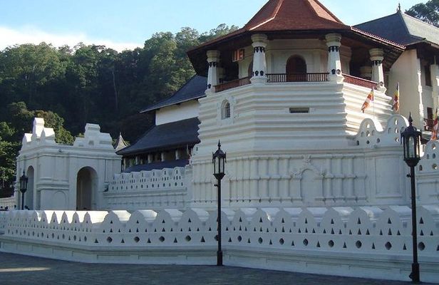 Kandy City Tour 