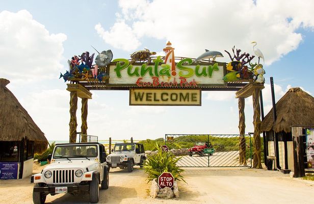 Cozumel Jeep and Snorkel Adventure with Lunch at Punta Sur Park