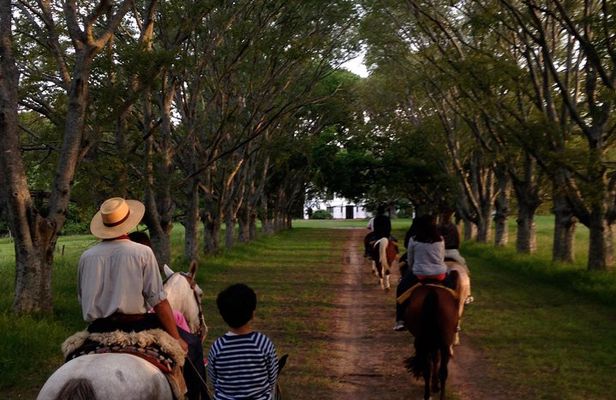 Vineyard Tour with Wine Tasting and Lunch in Buenos Aires