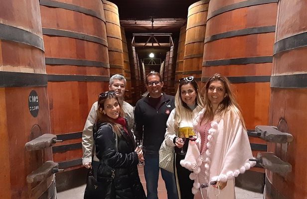 Private Full-Day Santiago City and Wine Tour 