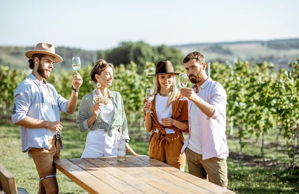 The art of the Italian Aperitivo with a local: Learn & Enjoy in Siena