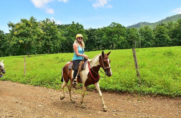 Jungle Horseback Riding + Chocolate Experience 