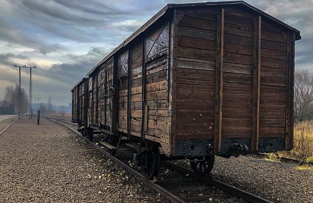 Auschwitz - Birkenau Tour with Private Transport from Krakow