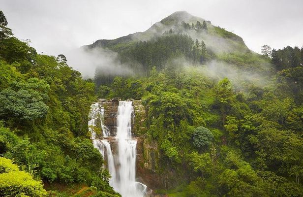 Nuwera Eliya Tuk-Tuk Trails 