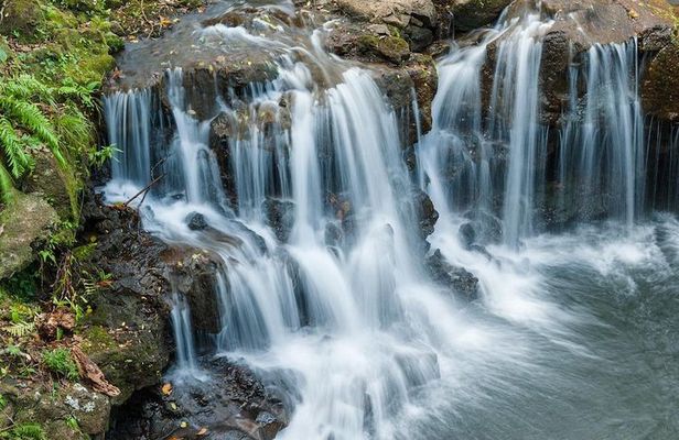 The Adventure Tour: Vallée des Couleurs & La Vanille Nature Parks & Gris Gris