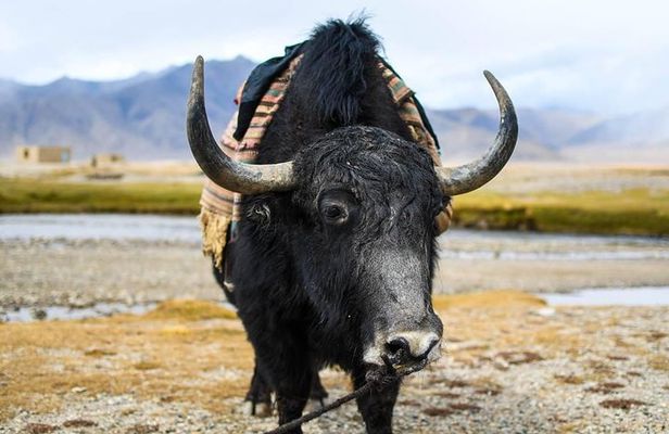 Highlights of Tajikistan