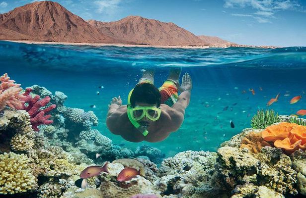 Sharm el-Sheikh: Ras Muhammad Snorkel and Desert Safari