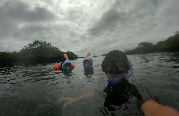 Isla Pinzón - Day Tour - From Santa Cruz - Islas Galápagos