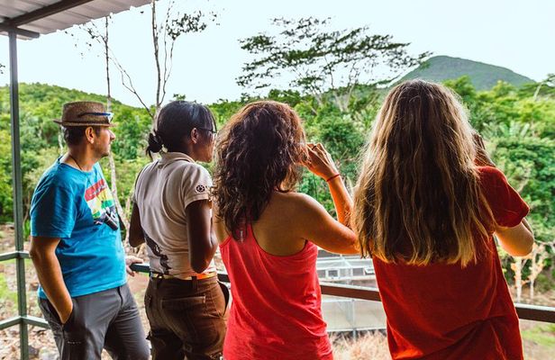 Ebony Forest Reserve Chamarel: Endemic Birdwatching Guided Tour