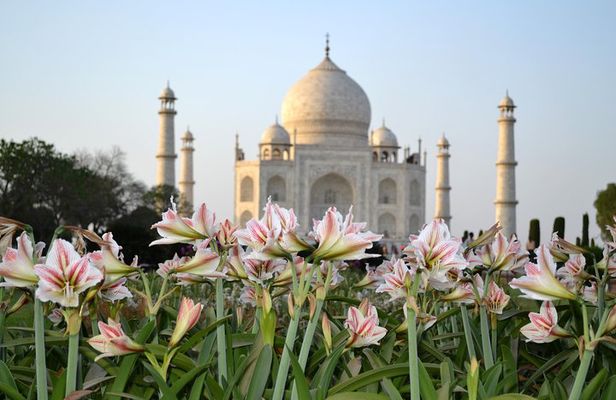 Taj Mahal Sunrise and Agra Overnight Tour from Chennai