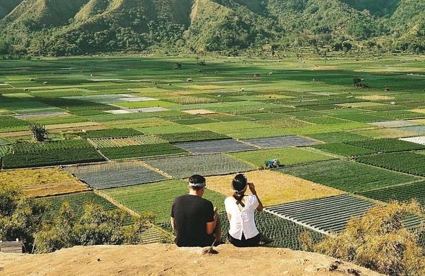 Sembalun Package.. (Special Rice Terrace View)
