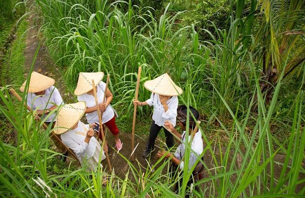 Experience Authentic Balinese Village Life on a Day Trip - Ubud