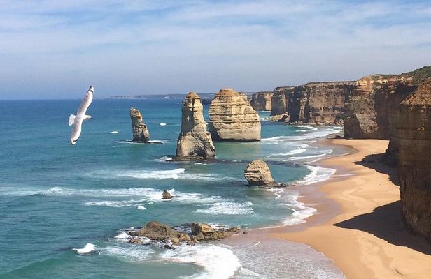 [PRIVATE TOUR] Express Great Ocean Road | Day Trip