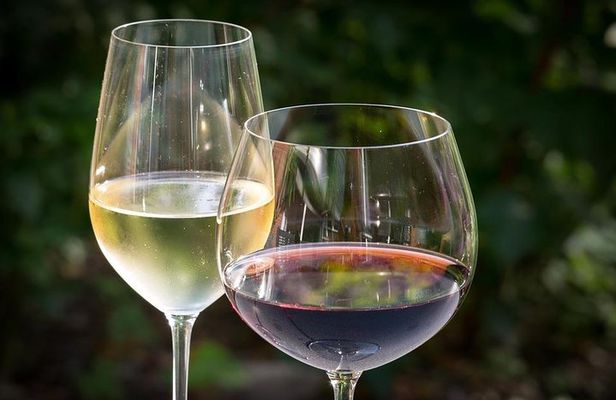 Ston and Peljesac with Wine Tasting Private Tour