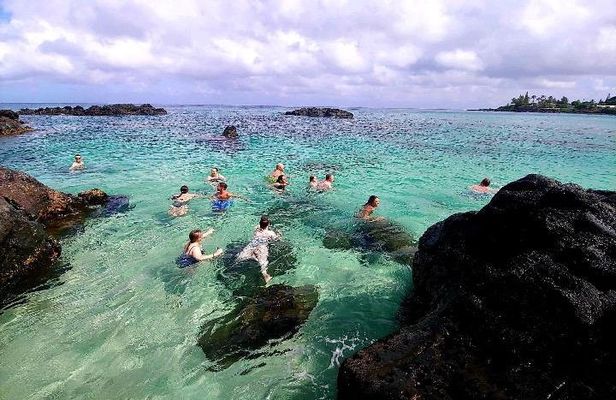 Full-Day Oahu Tour by Bus