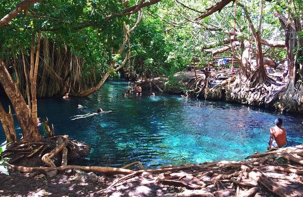 Kikuletwa Hotspring Day Trip