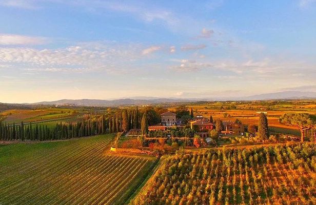 Arezzo: Wine Tasting Experience in Valdichiana area