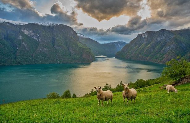 PRIVATE GUIDED TOUR: Norway's Highlights – Viking Special, 11-12 hours – SUMMER