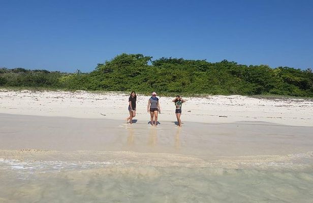 Private Charles Darwin Station Tour &Tortuga Bay Beach with lunch