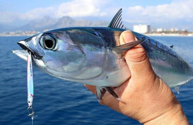 "Side Half-Day Fishing Adventure: Transfer Included!"