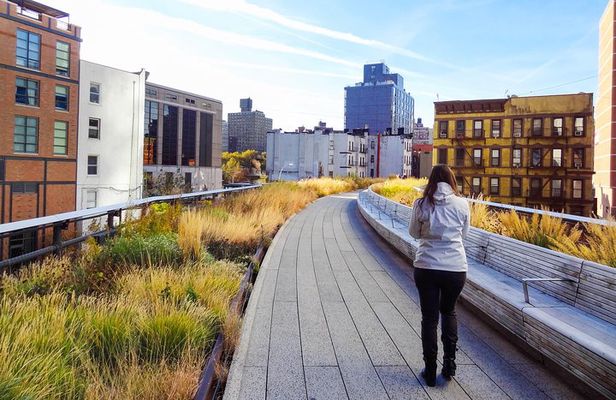NYC Midtown Sightseeing Tour and Hudson Yards 