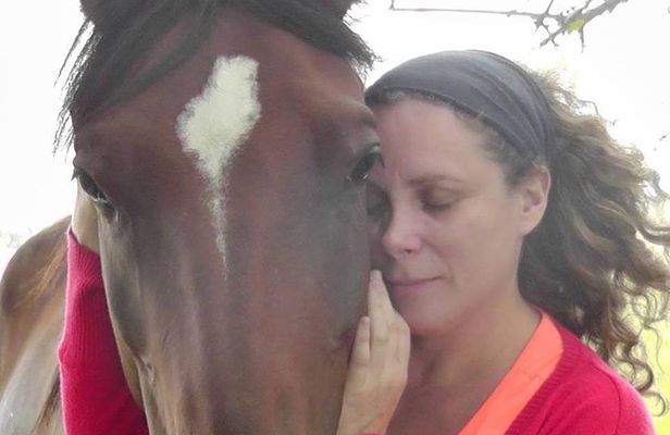 Vibrate your horse heart - healing with horses
