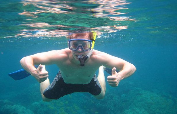 Kealakekua Bay Morning Snorkel to Captain Cook Monument