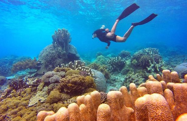 Half Day Tour Snorkeling in Nha Trang Bay Included Lunch