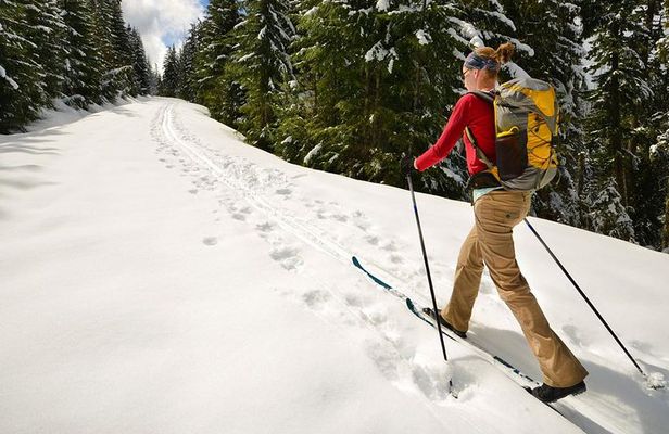 Half-Day Guided Backcountry Ski Touring Experience near Incline Village