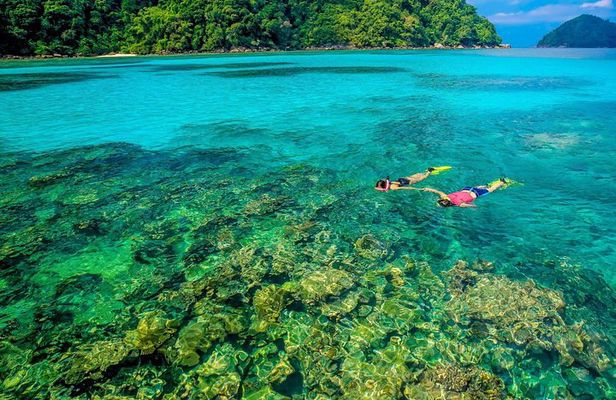Surin Islands Snorkel Tour by SeaStar Andaman from Phuket