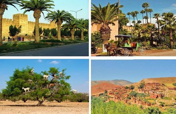Agadir Excursion To Taroudant & Tiout oissis With Lunch