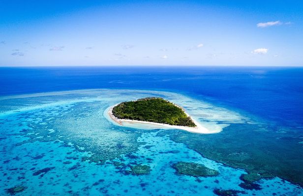 Lady Musgrave Day Trip from Bundaberg Including Snorkeling