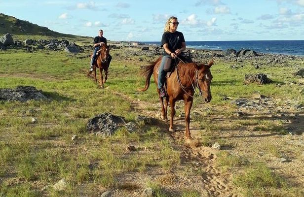 Aruba 2,5 hrs Horseback Riding For Advanced Riders