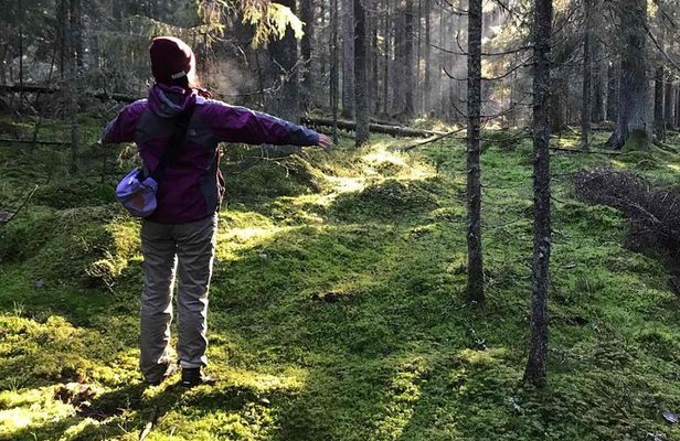 Hiking tour in Nuuksio National Park with meal and snacks