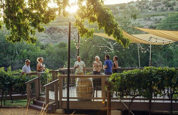 The Original 4 Winery Tour with Charcuterie