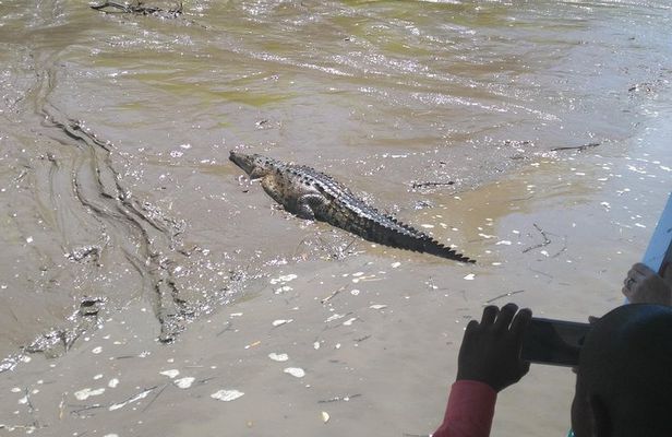 Wildlife river boat safari & Cultural experience.
