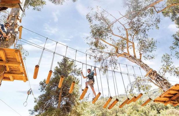Catalina Island Aerial Adventure