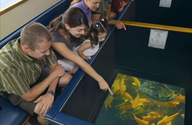 Glass Bottom Boat: Catalina Island Tour