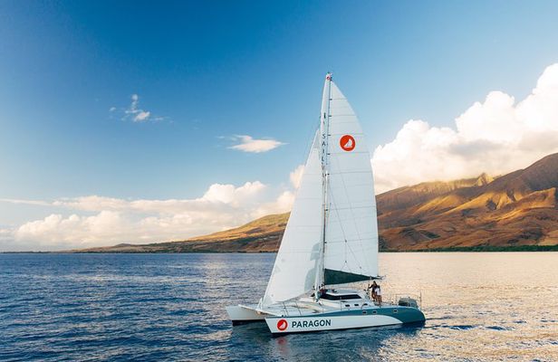 Morning Whale Watch: Lāhainā Harbor