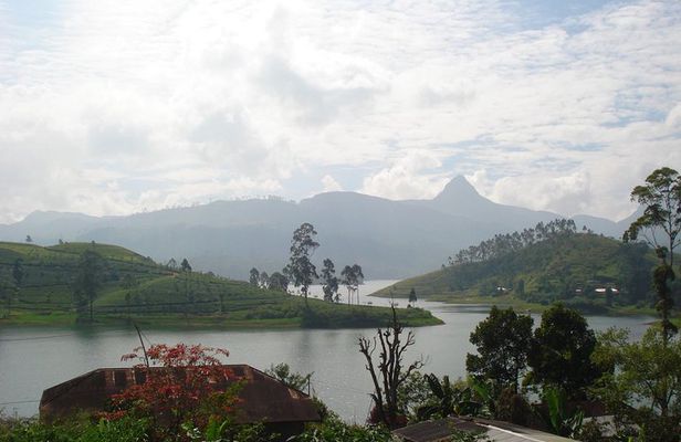 Sri Pada Mountain and Ella Train Journey from Kandy City