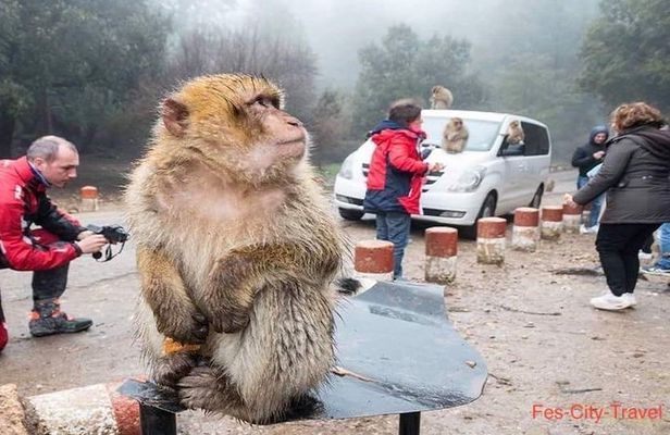 Private Day Trip to Middle Atlas from Fes