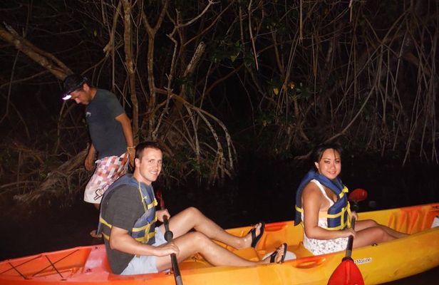 Bioluminescent Bay Kayak Trip from Vieques