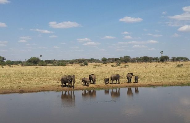 03 Days, 02 Nights Safari To Lake Manyara, Ngorongoro And Tarangire