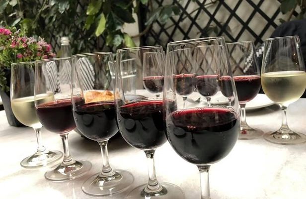 Private Walking Tour & Argentine wine Tasting