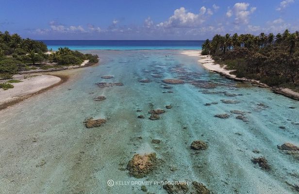Reef island private tour