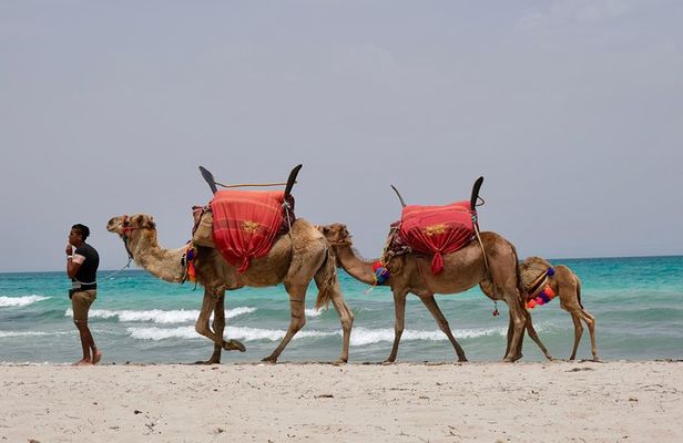 From Djerba : 1 day in the footsteps of Star Wars "Mos Eisley"