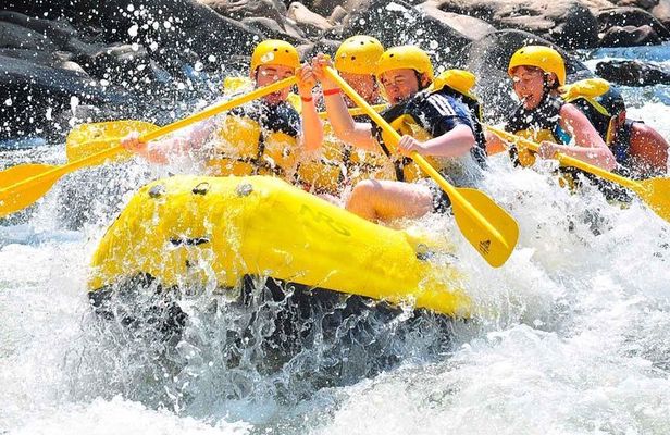 Private Rio Bueno River Adventure from Montego Bay