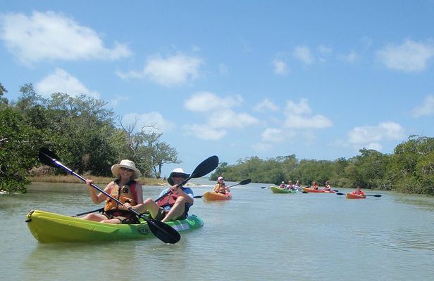 Guided Kayak Eco Tour - Bunche Beach
