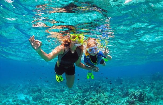 Family Snorkeling Adventure Punta Cana