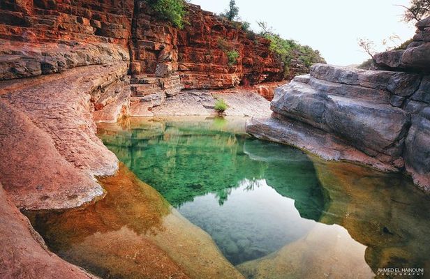 High Atlas Tour & Paradise Valley